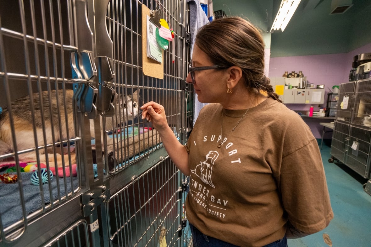 A person is seen peeking in a cage, which contains a cat.