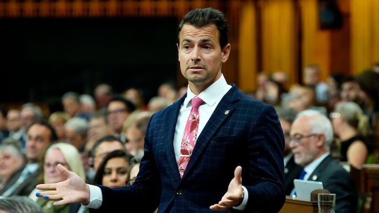 A man stands to speak in a legislative hall.