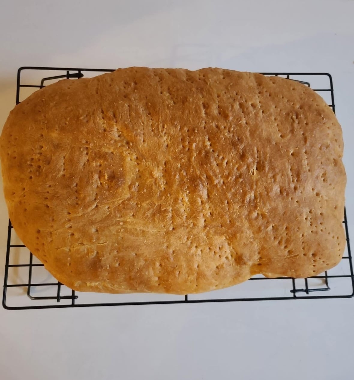 A piece of freshly baked bannock cooling on a rack