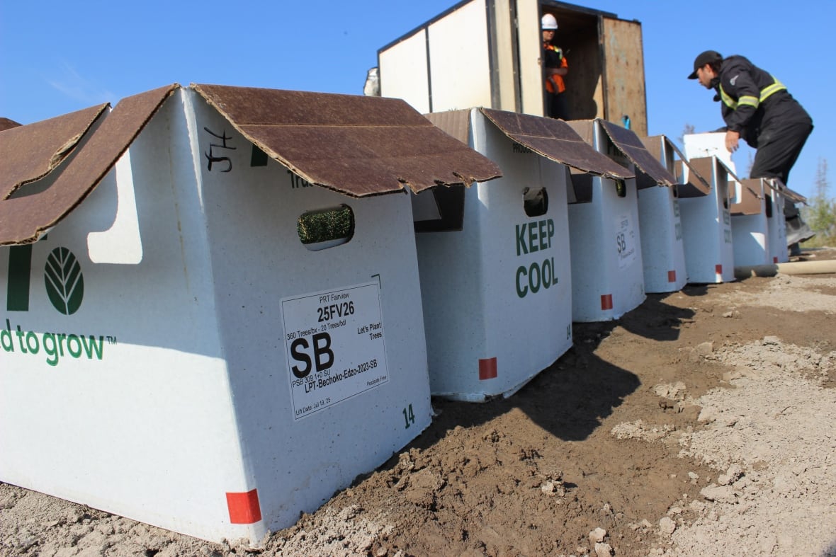 Boxes with a truck being loaded in the background.