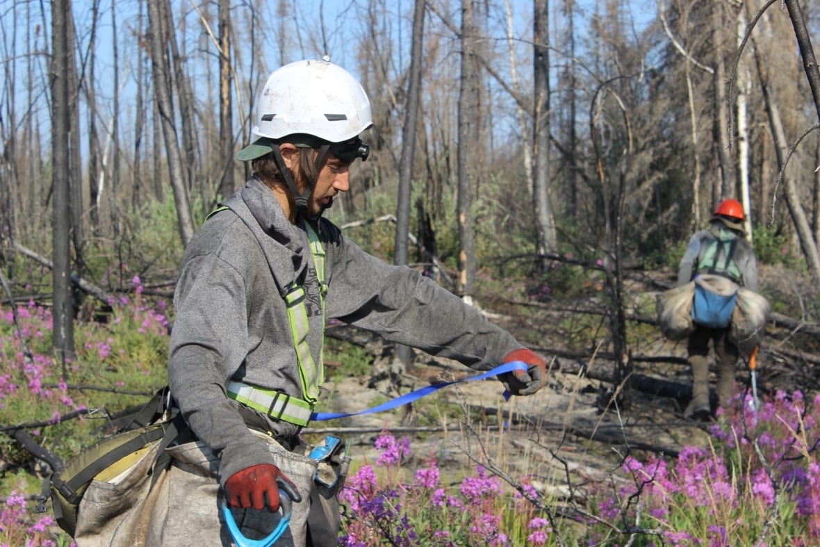 A young man in a hard hat and other safety gear holds out a ribbon of blue flagging tape.