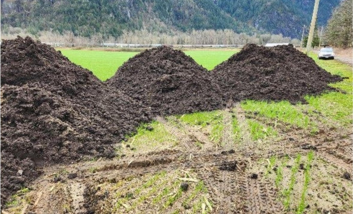 Four large mounds of dirt are shown on a green expanse of property.