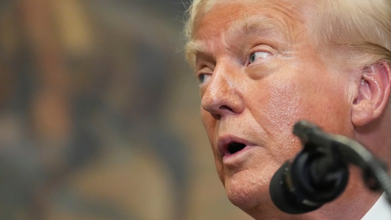U.S. President Donald Trump speaking in the Roosevelt Room of the White House.