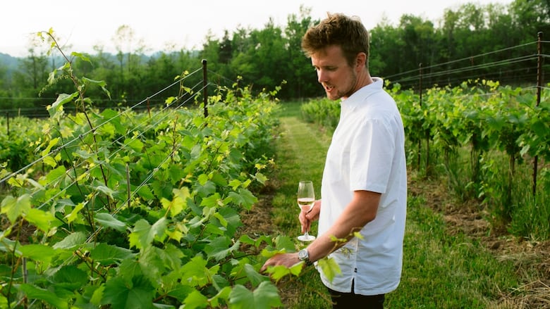 Michael Maish is the co-owner of The Roost Wine Company in Clarksburg, Ont., near Georgian Bay.