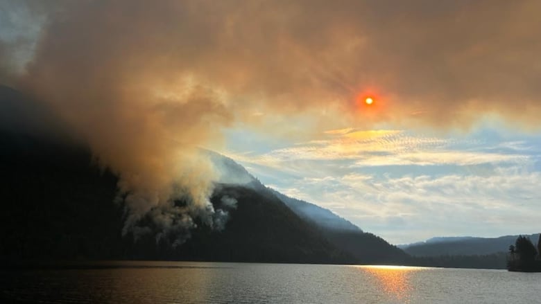 A wildfire burns a forest beside a lake