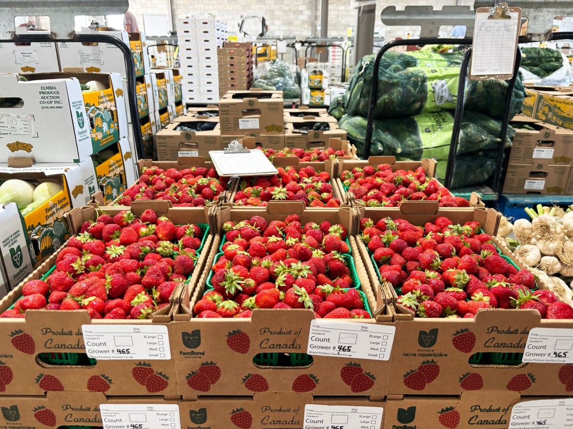 Flats of strawberries.
