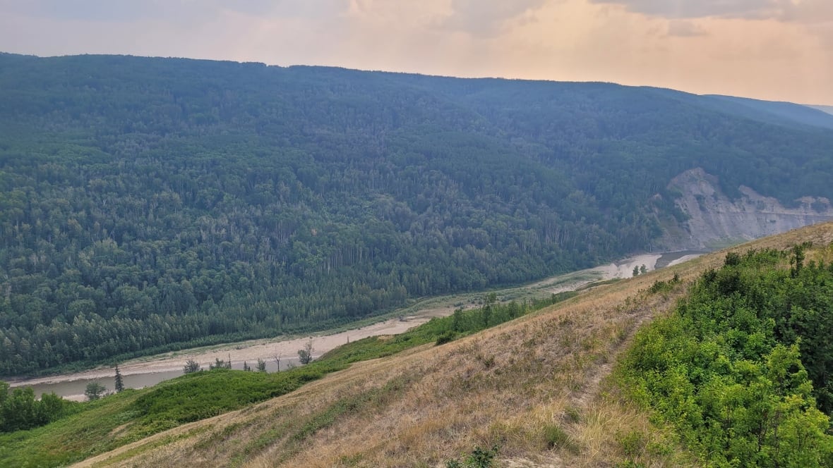 A small river runs through a forested valley.