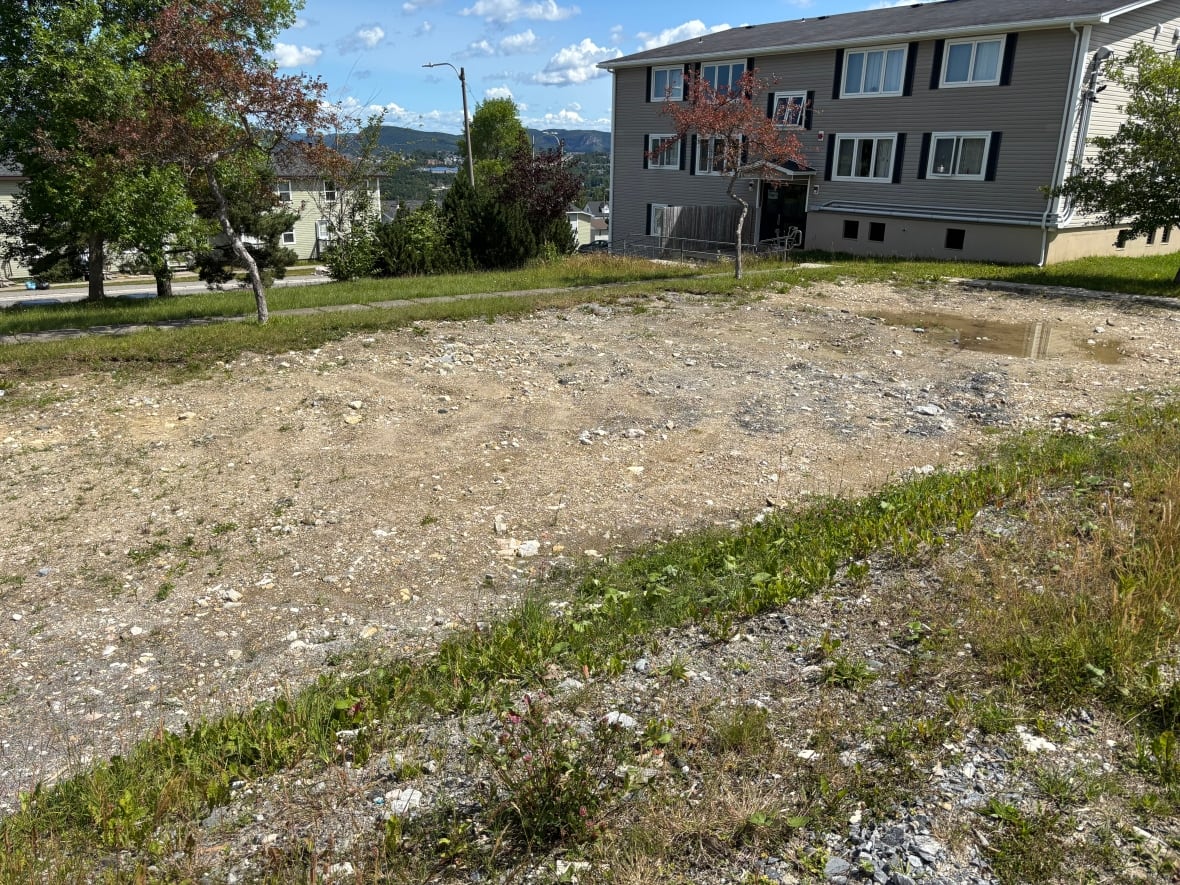 A patch of land in a neighbourhood.