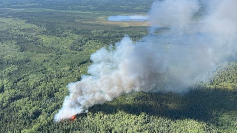 A photo taken from an aircraft shows a huge plume of smoke rising from a wildfire located in a densely forested area.