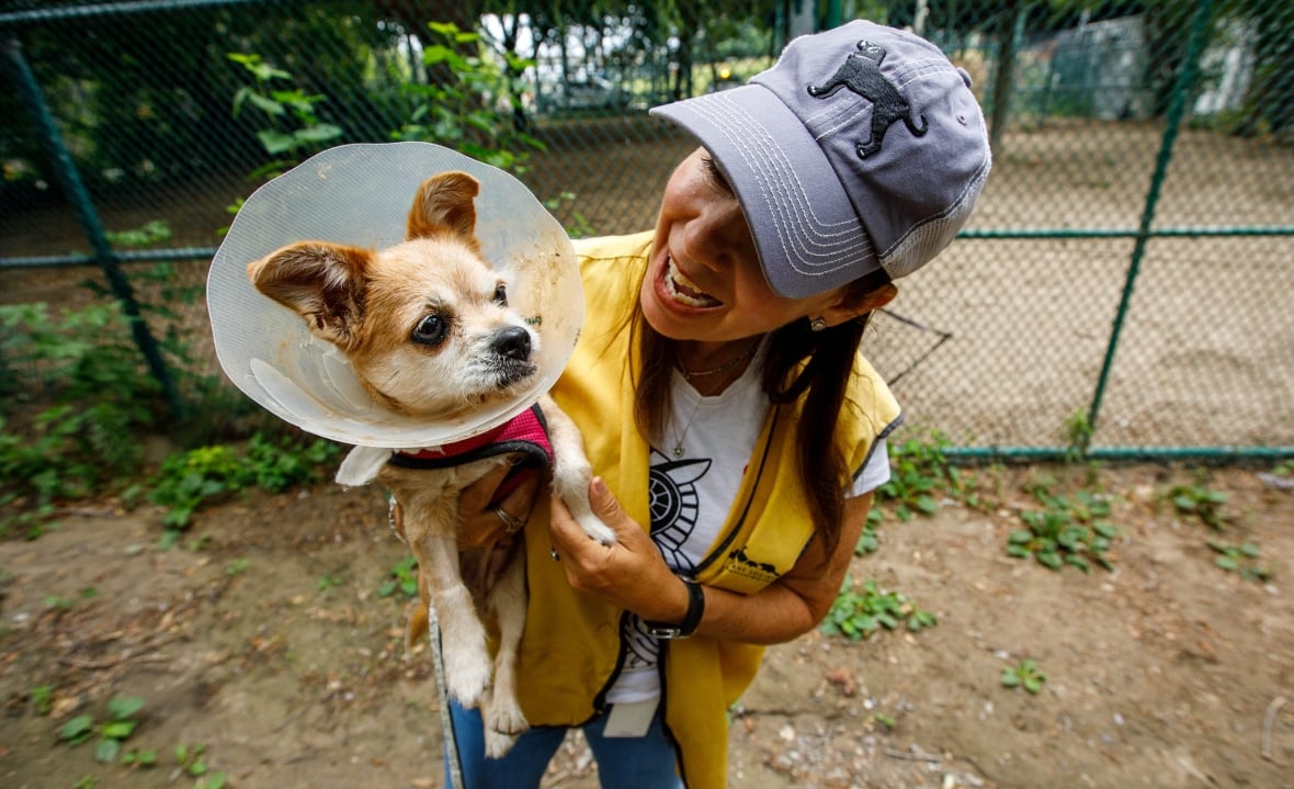 A woman holds a small dog in her arms while standing outside. The dog has a plastic cone around its neck. The woman is smiling at the dog and appears to be in the middle of speaking.