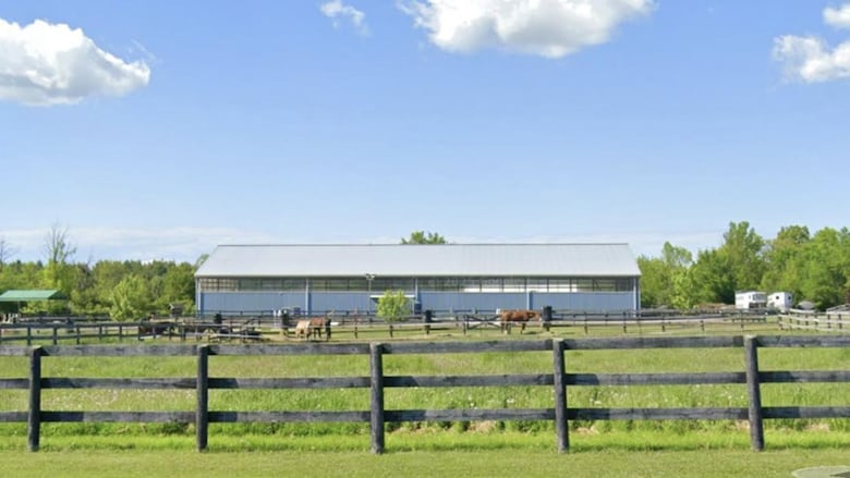 Niagara police said on Friday one horse was found dead and several others injured at a Welland, Ont. ranch in a 'disturbing act of animal cruelty.'