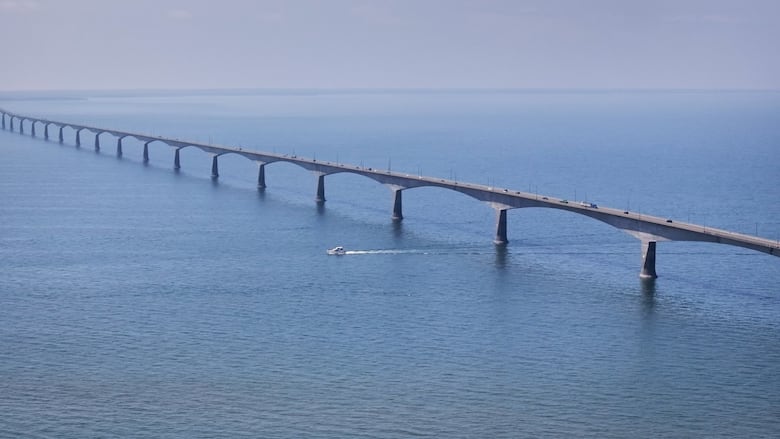 A large bridge spans over blue water on a clear, suny day.