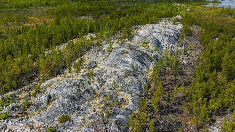 Large mineral deposit seen above ground, appears as a very large greyish rock among trees and bushes