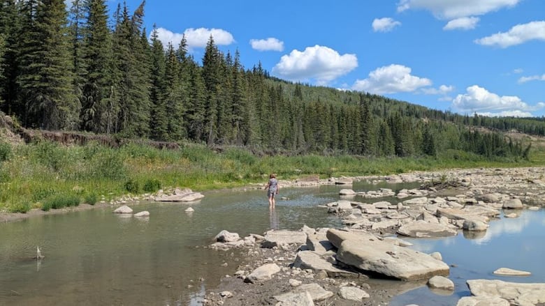 A person stands in a shallow river