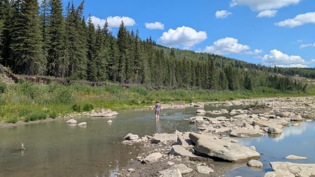 A person stands in a shallow river