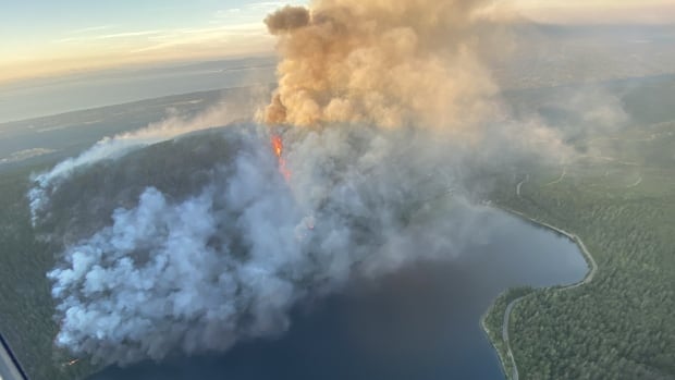 Smoke and flames arise from a forested hill next to a lake.