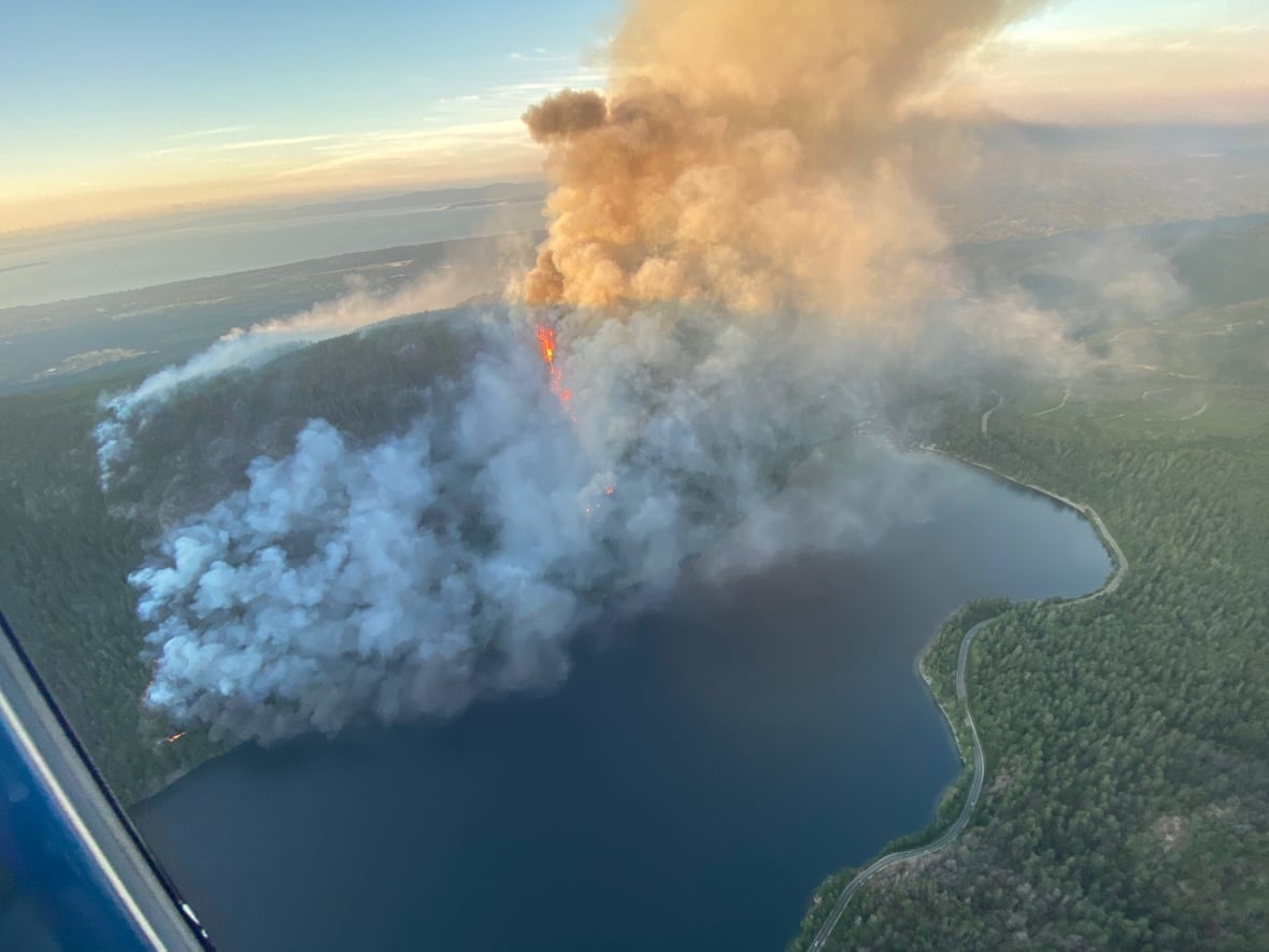 Smoke and flames arise from a forested hill next to a lake.