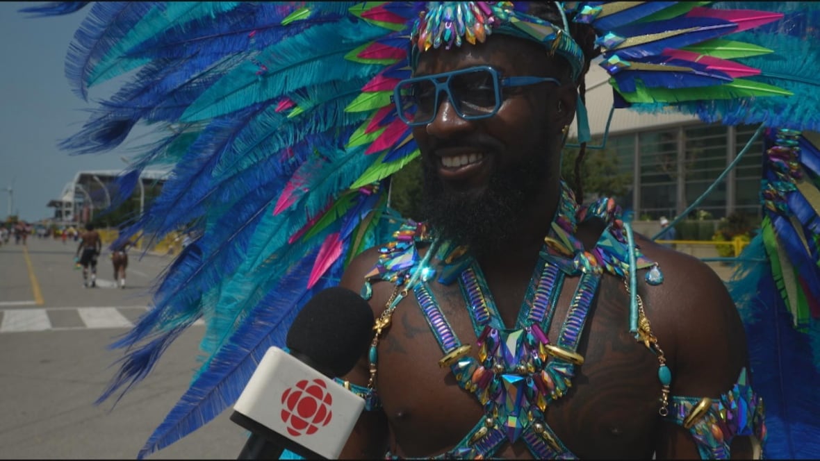 Foto de una persona con un vestido de carnaval de multa azul y verde