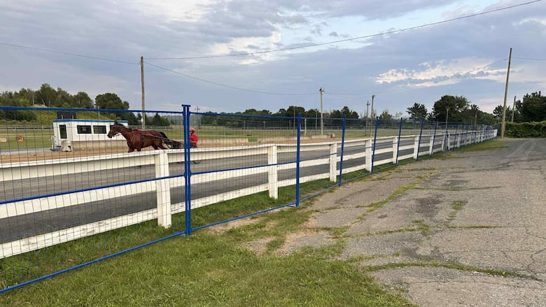 A horse race track with blue metal fencing next to a white wooden fence.