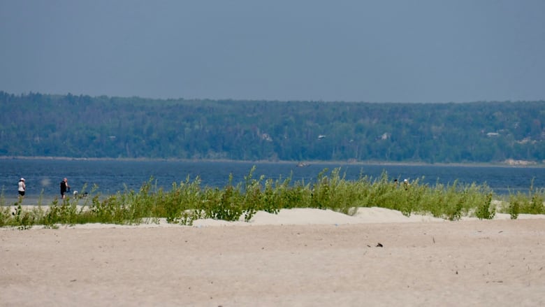 View of a dune and lake over it.