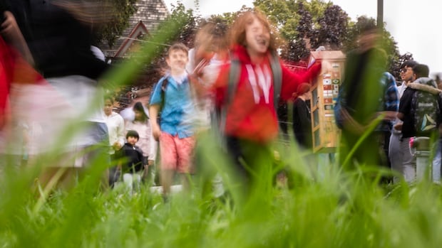 Report Reveals Grade 6 Middle Schoolers Lag in Ontario Standardized Tests