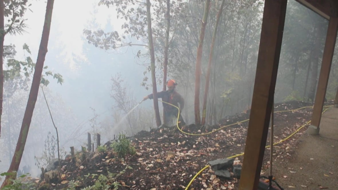 A firefighter sprays a hose on a fire in a smoky forest
