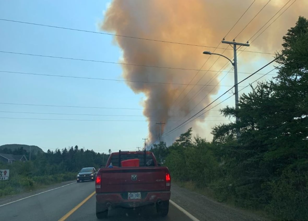 A large cloud of smoke over a forest. 