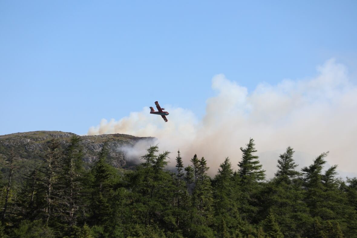 A plane in sky with lots of smoke and tree tops.