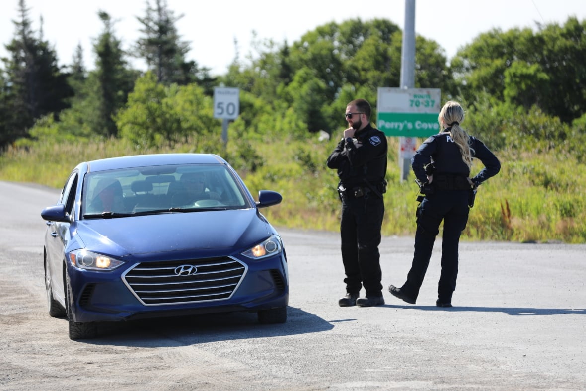 Two police officers talk to a driver in a blue car.