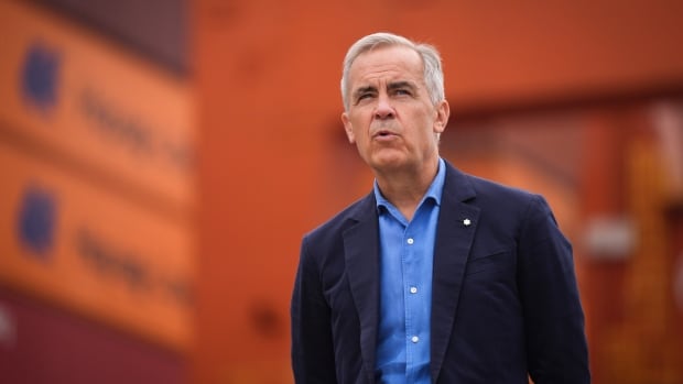 Prime Minister Mark Carney tours the DP World Centerm container terminal at port, in Vancouver, on Sunday, August 3, 2025.