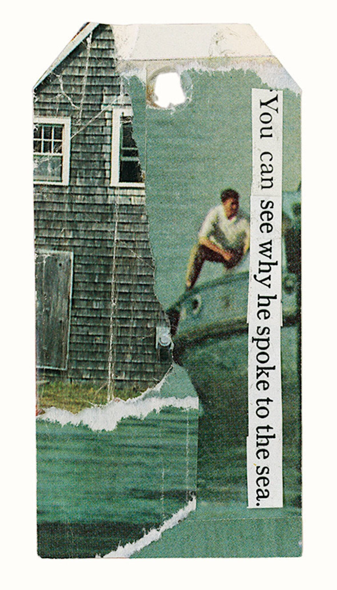 A close up of a collage including the text "You can see why he spoke to the sea."