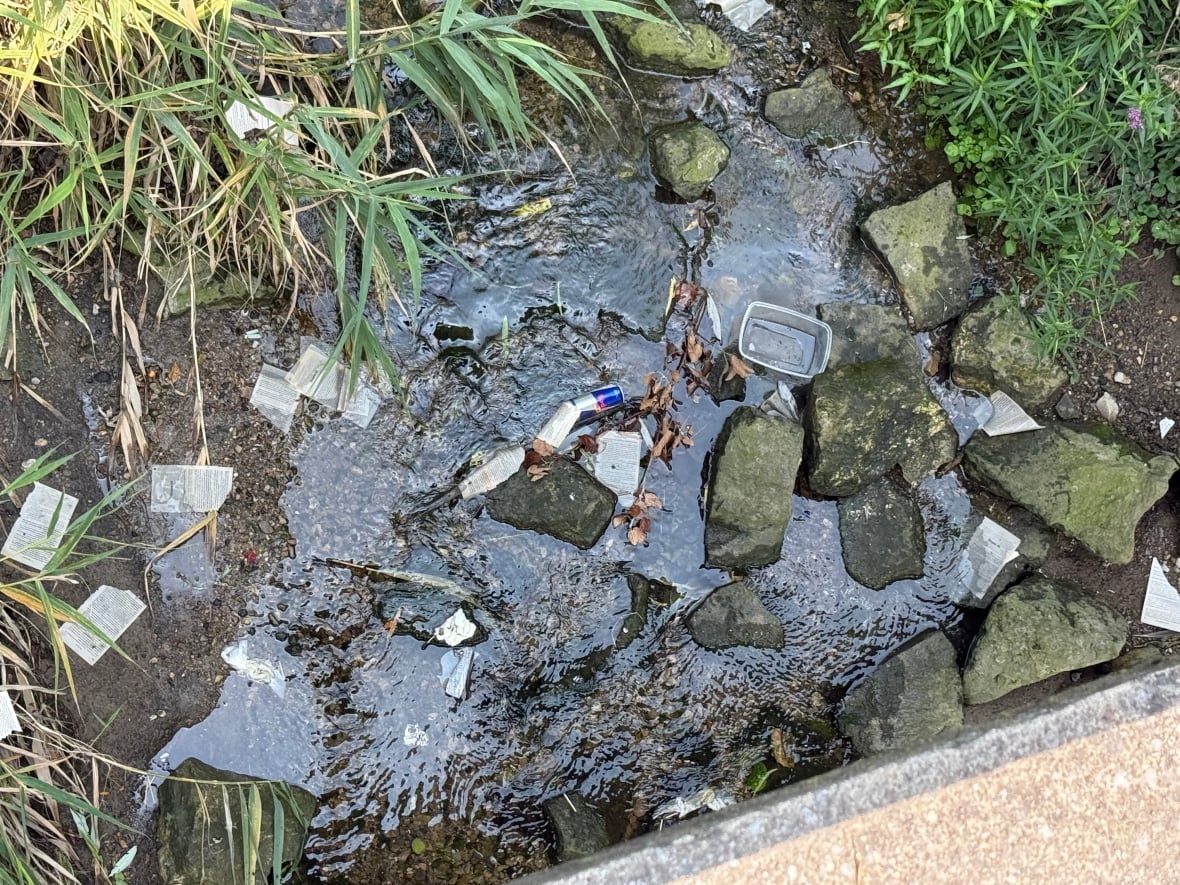 Lately, trash has been building up on the sides of the ravine and in the creek down below, neighbours said.
