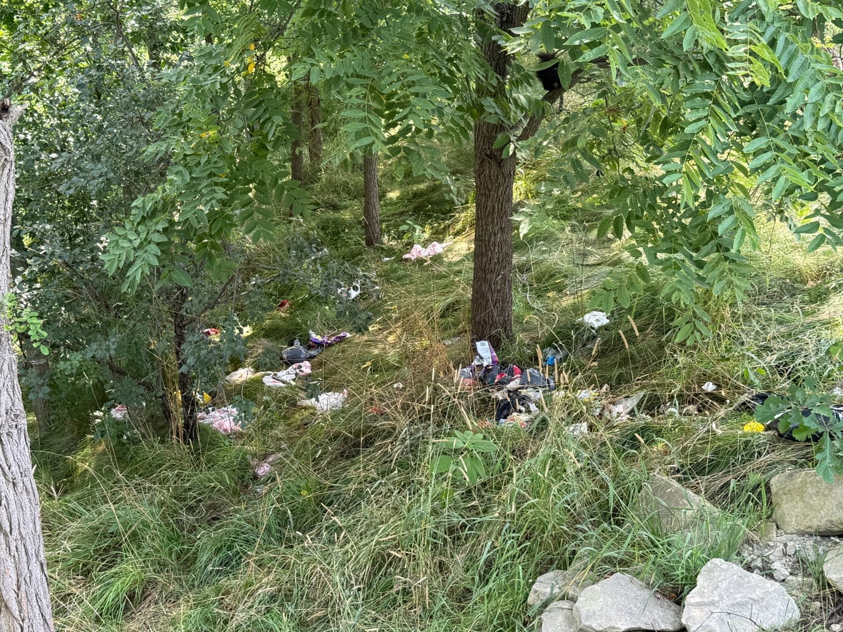 Trash seen in the ravine at White Oaks Park, right beside the walking path. 