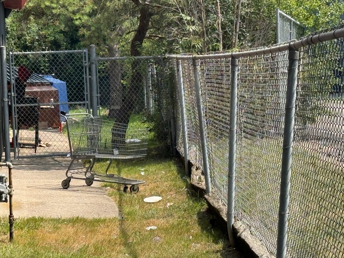 Shopping carts are often left, sometimes full of trash, Tia Campbell said. Some end up tossed in the ravine. 