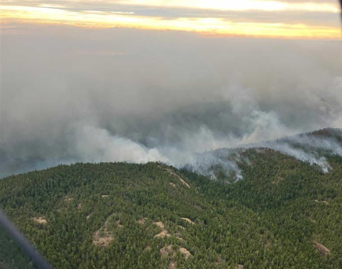 Smoke rises from a forested hill.