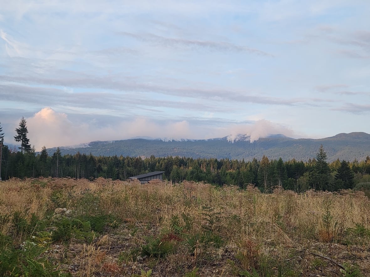 Smoke arises from forested hills off in the distance behind a row of trees.