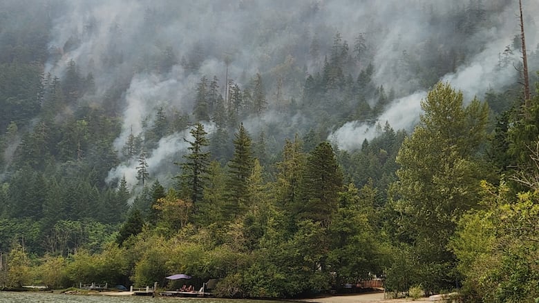 Smoke arises from a forested hill next to a picturesque lake.