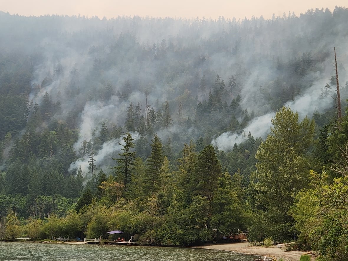 Smoke arises from a forested hill next to a picturesque lake.