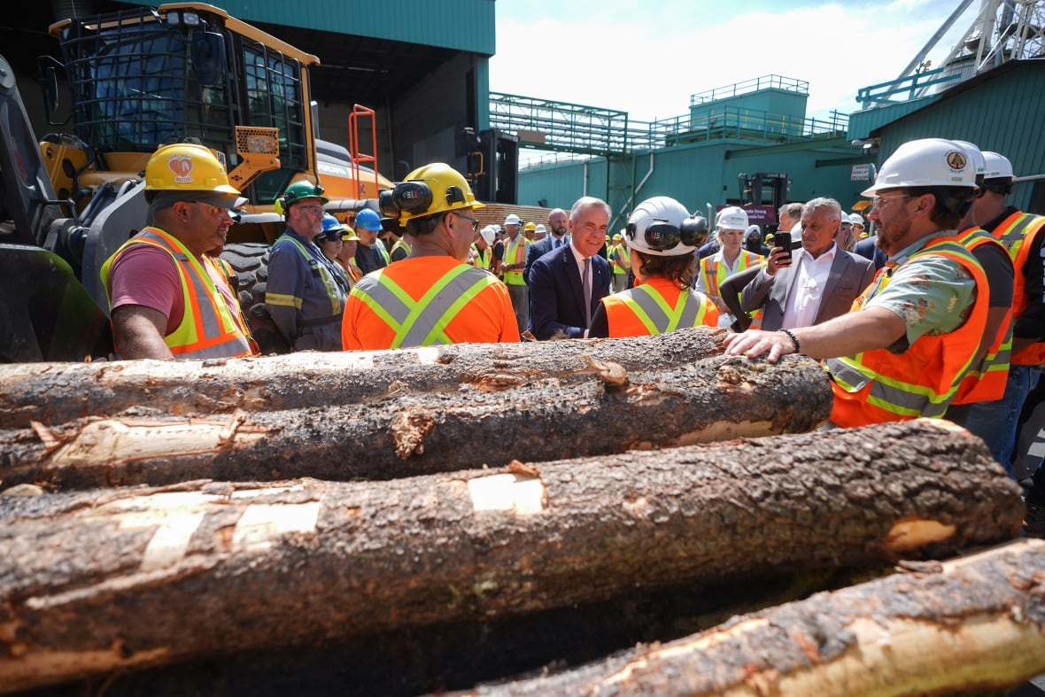 A number of workers in high-vis vests talk to a man wearing a suit next to logs.