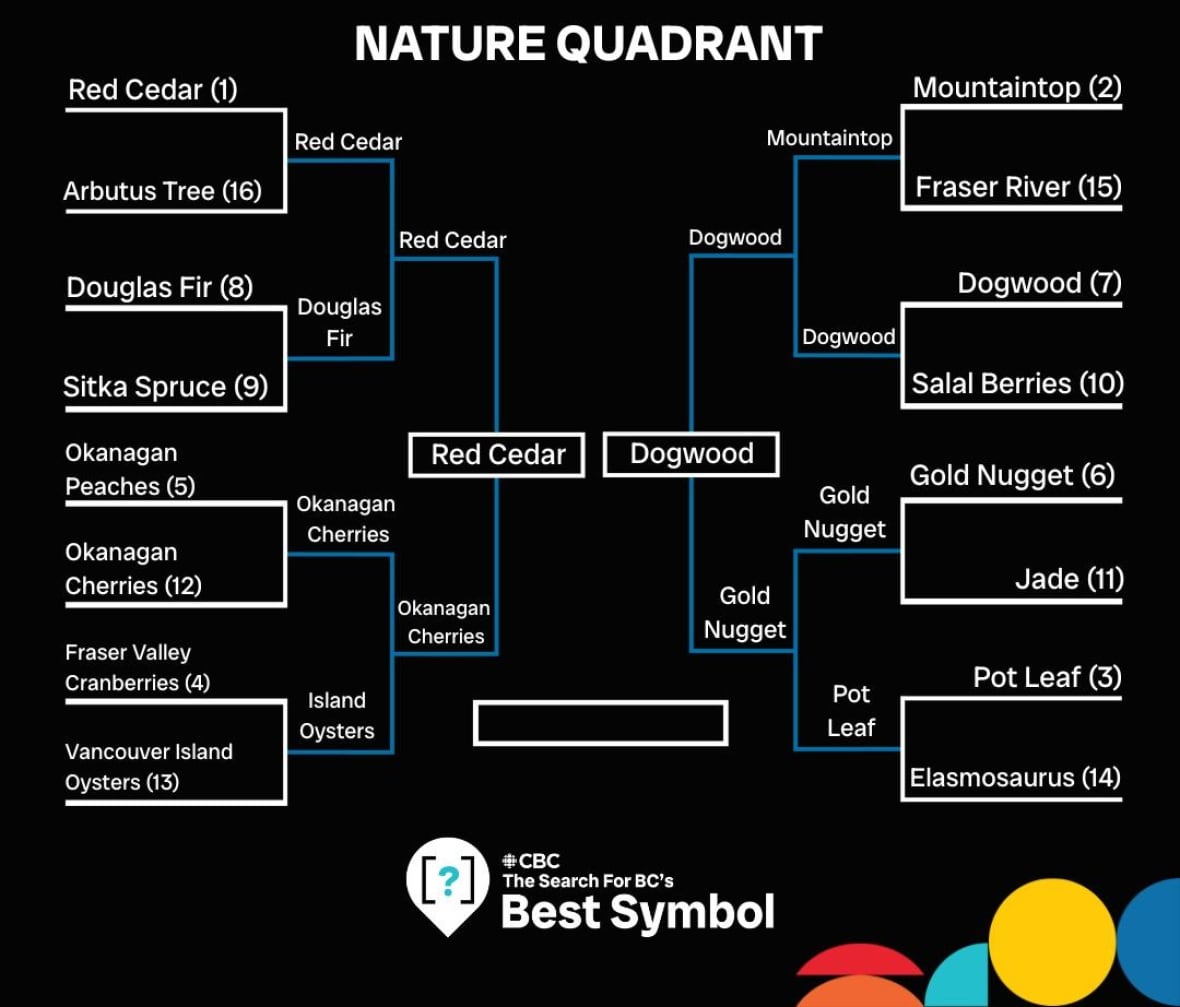 Cómo el Pacific Dogwood y Red Cedar llegaron a esta etapa en la competencia.