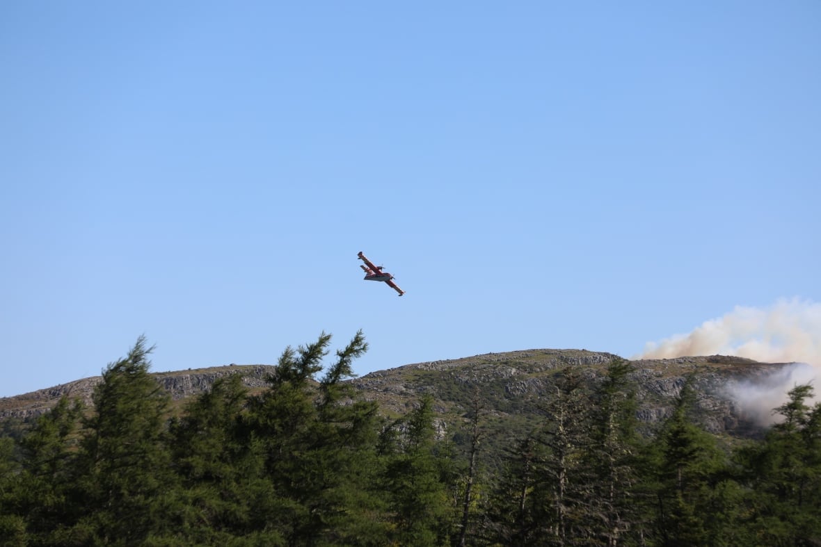 View of sky with a plane flying