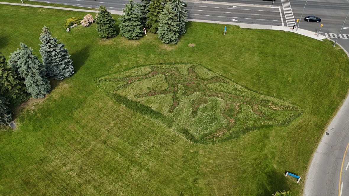 Aerial view of a green patch of parkland with roadways around its perimetre. A flat branch-like shape is visible on the lawn.