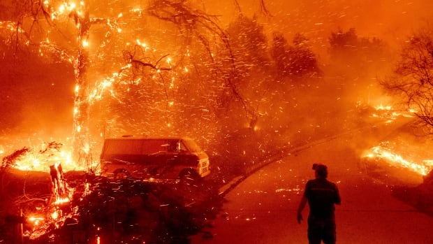 Bruce McDougal watches embers fly over his property as the Bond Fire burns through the Silverado community in Orange County, Calif.