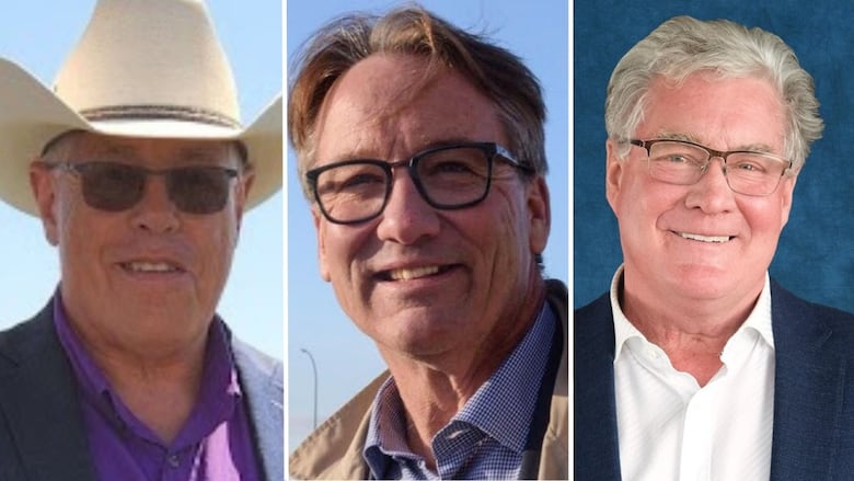 A collage of three men is pictured 