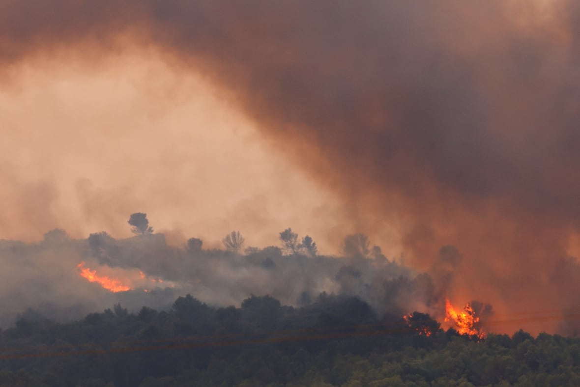 Wildfire