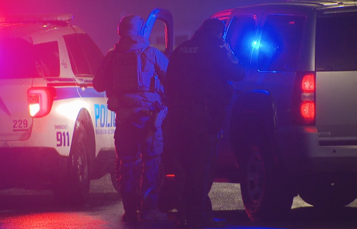 Police officers in protective gear stand by a police car at night, silhouetted by flashing police car lights.
