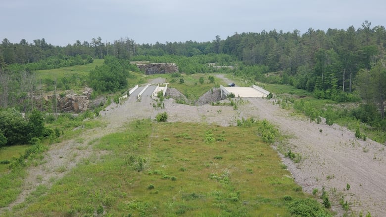 Two bridges with plant overgrowth