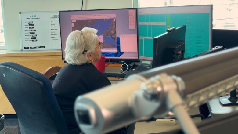 woman looks at her computer monitor