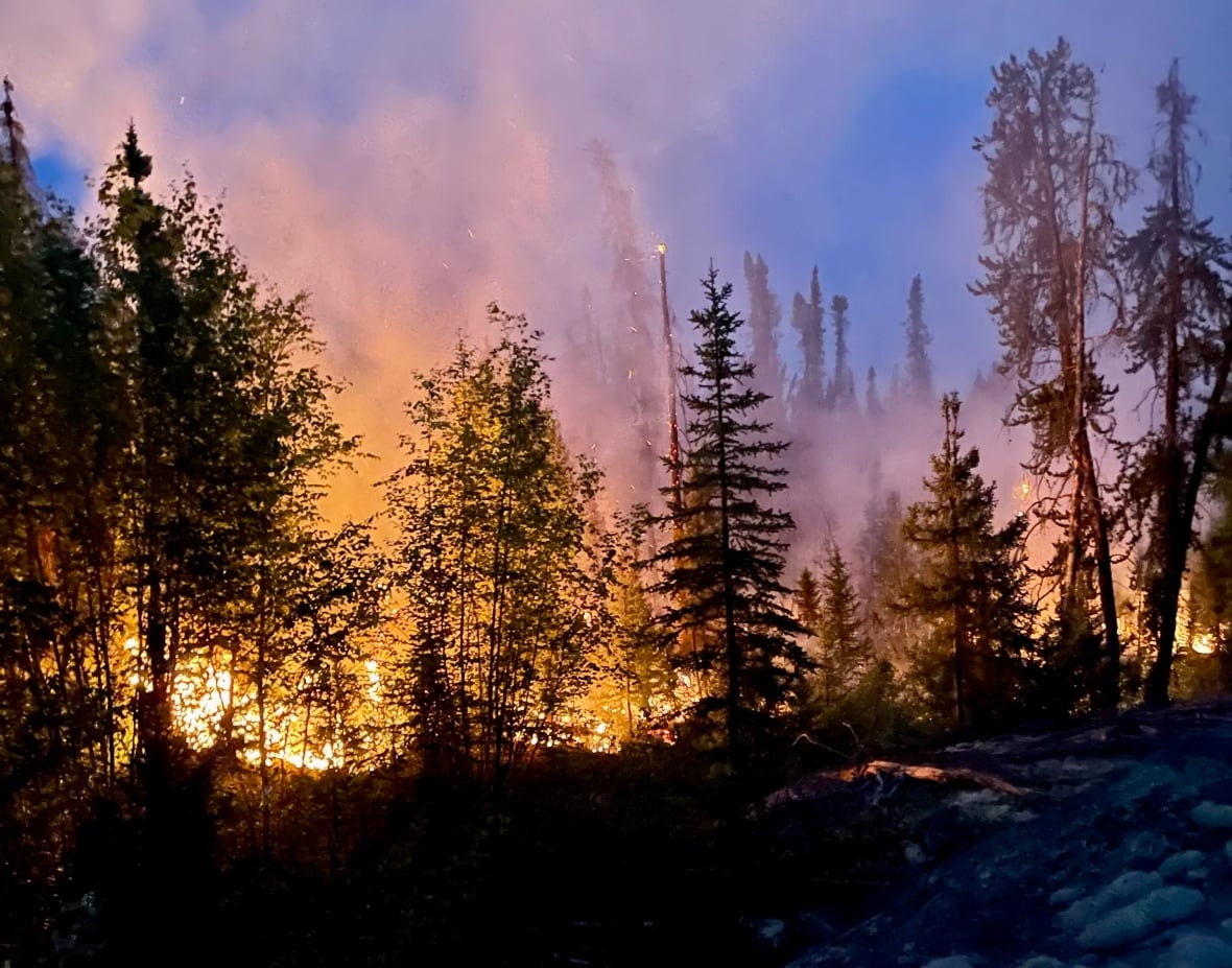 A wildfire in a forest.