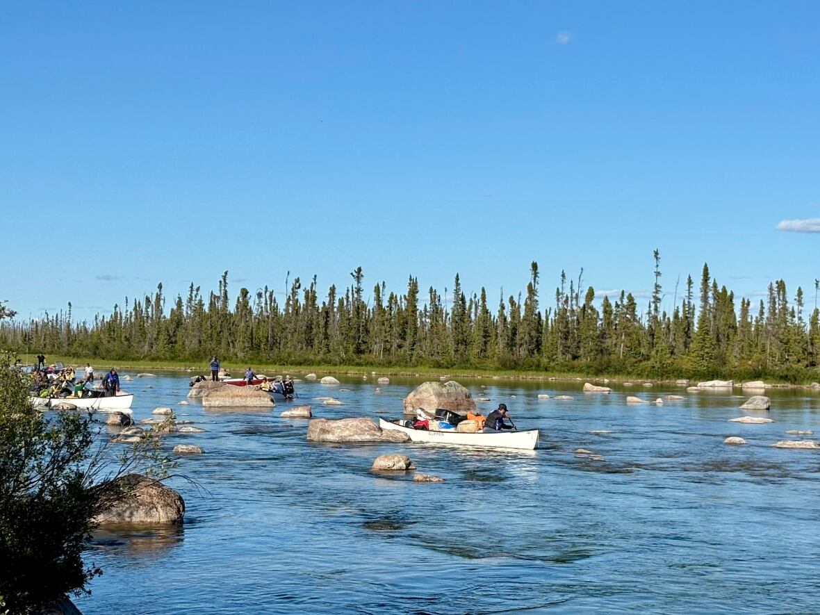 People paddle canoes up a shallow, rock-strewn river.